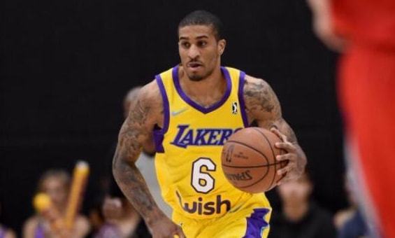 本土力量崛 本土力量崛