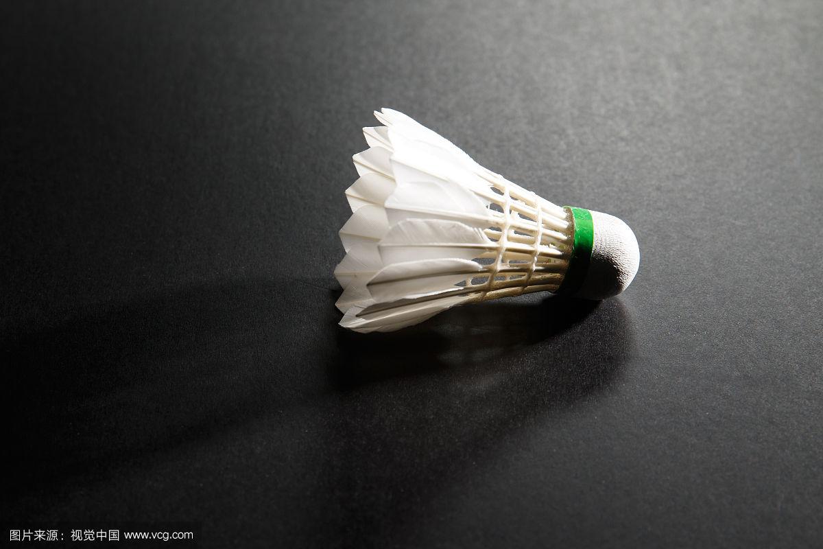 术切磋将永 术切磋将永